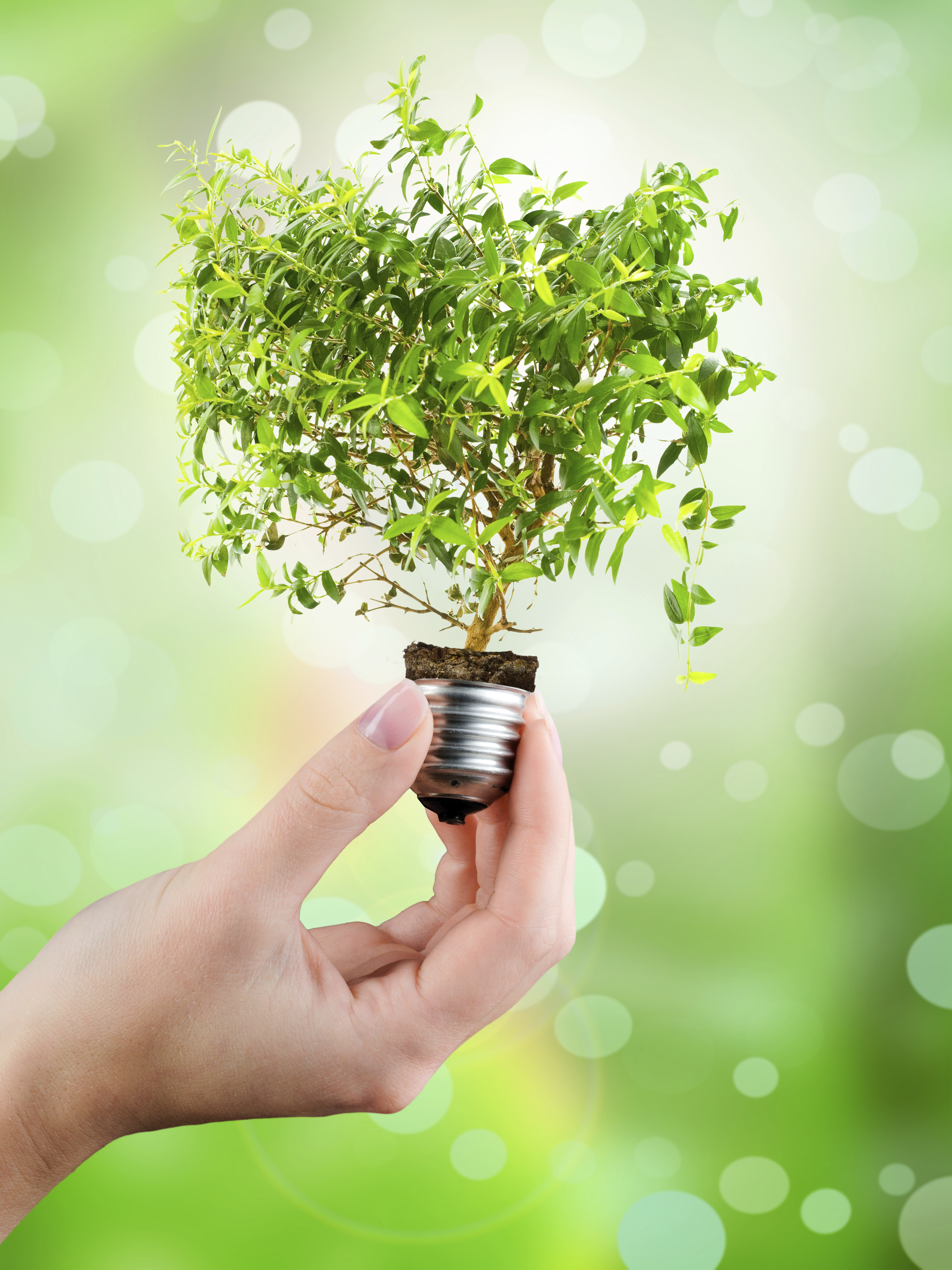 LED économie énergie