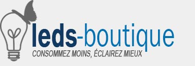 leds-boutique-logo
